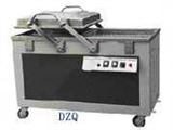 DZQ-500/2SB真空充气包装机