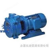 SK-0.15直联水环式真空泵