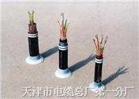 矿用控制电缆-MKVV电缆;MKVVR电缆;阻燃控制电缆