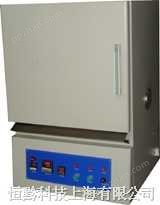 上海500度高温箱 上海500度高温试验箱 上海500度高温烘箱