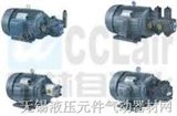 2P4H523+VP  3P4H523+VP  3P4H523-G电机泵组合产品